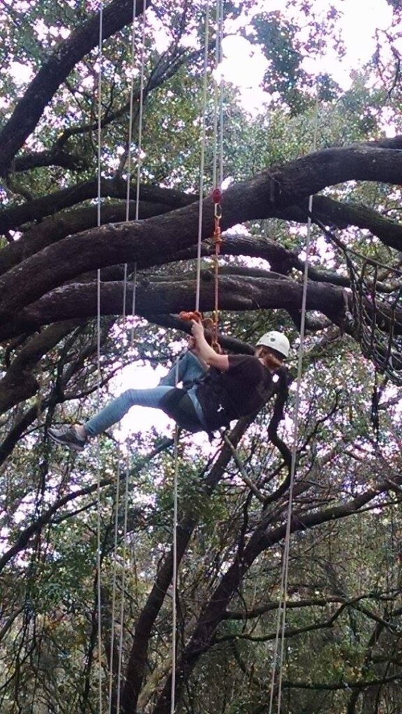 a woman suspended from a tree she is climbing